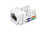 nhan-outlet-amp-rj45-l1 - ảnh nhỏ  1